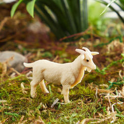 Micro Mini Billie Goat