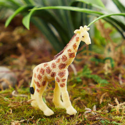 Micro Miniature Giraffes