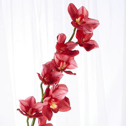 Real Touch Red Cymbidium Orchid Stem