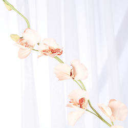 Peach Artificial Phalaenopsis Orchid Spray