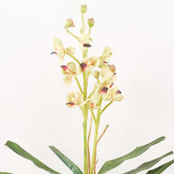 Green and Burgundy Artificial Vanda Orchid Spray