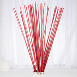 Red Dried Stems