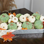Assorted Baby Boo and Harvest Green Pumpkins