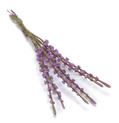 Miniature Artificial Purple Lupinus Stems