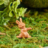 Miniature Brown Bunny