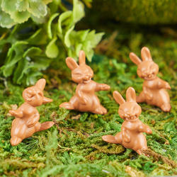 Miniature Brown Bunnies
