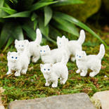 Micro Mini White Kittens