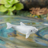 Micro Mini Baby Dolphin
