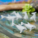Micro Mini Baby Dolphins