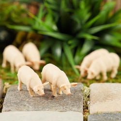 Micro Mini Barnyard Pigs
