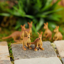 Micro Miniature Kangaroos