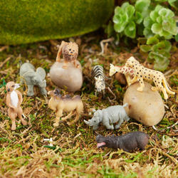 Micro Miniature African Safari Animals