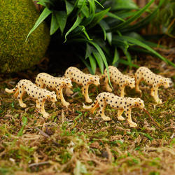 Micro Mini Cheetahs