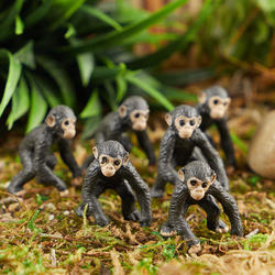 Micro Mini Chimpanzees