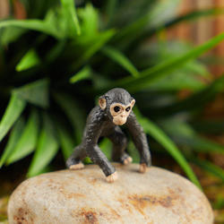 Micro Mini Chimpanzee