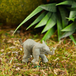 Micro Mini Baby Elephant