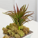 Artificial Tropical Succulent Pick