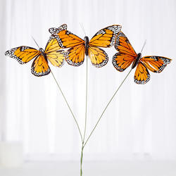 Monarch Butterflies on Stem