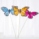 Monarch Butterflies on Stem Assortment
