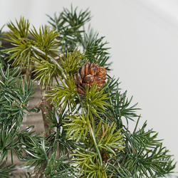 Green Artificial Cascading Pine Spray with Cones