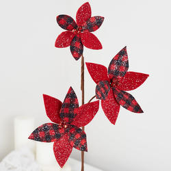 Red and Black Poinsettia Spray