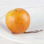 Small Golden Harvest Artificial Apple