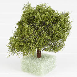 Faux Miniature Ornamental American Beech Tree