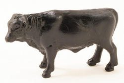 Miniature Black Angus Cow
