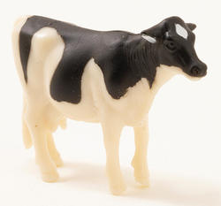 Miniature Holstein Cow