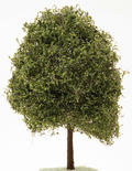 Faux Miniature Medium Green Sugar Maple Tree
