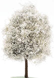 Faux Miniature White Dogwood Tree