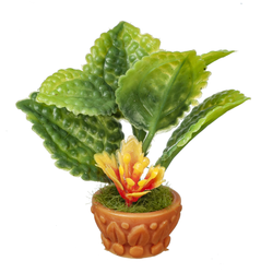 Miniature Flower in Pot