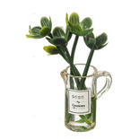Dollhouse Miniature Succulents In Clear Pitcher