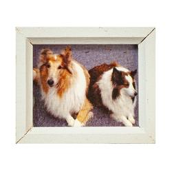 Dollhouse Miniature Collie Dogs Painting