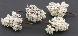 3 Inch White Flowering Dogwood Tree with Textured Trunk, 4pcs.