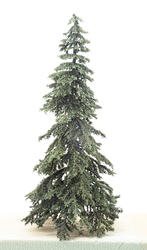 Appalachian Green Spruce Tree, 6 Inches Tall