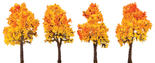 Dollhouse Miniature Red Orange Autumn Trees with Textured Trunks