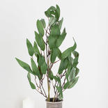 Artificial Long Leaf Eucalyptus Branch