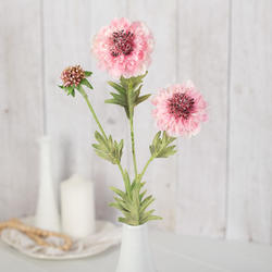 Cream Pink Artificial Pincushion Flower Stem