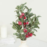 Frosted Mistletoe Leaf Spray With Red Berries