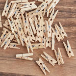 Bulk Case of 9000 Mini Wood Clothespins