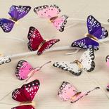 Small Assorted Feather Butterflies
