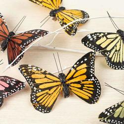 Assorted Fall Monarch Butterflies