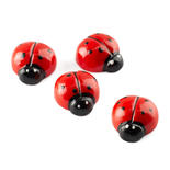 Pack of 4 Ladybugs