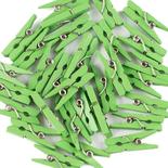 Mini Light Green Wood Clothespins
