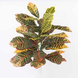 Artificial Croton Leaf Plant