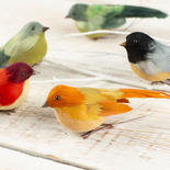 Assorted Feathered Mushroom Birds