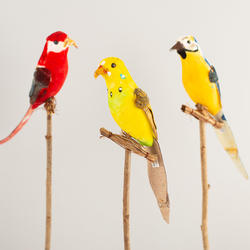 Assorted Artificial Parakeets on Perch
