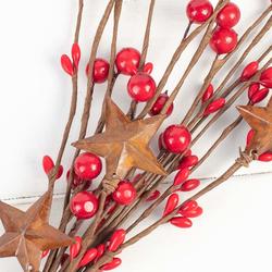 Rusted Star and Red Berries Pick