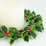 Real Touch Lifelike Variegated Holly Wreath